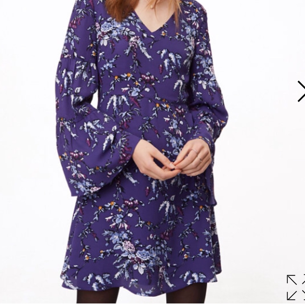 LOFT Branch Frosted Bell Sleeve Dress 6 Petite